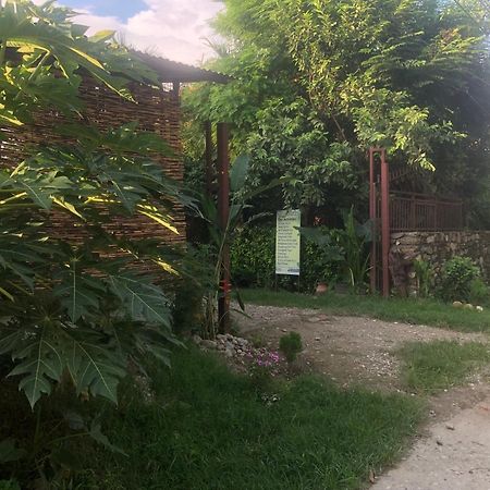 Tara Guesthouse - Sauraha,Chitwan Bagian luar foto