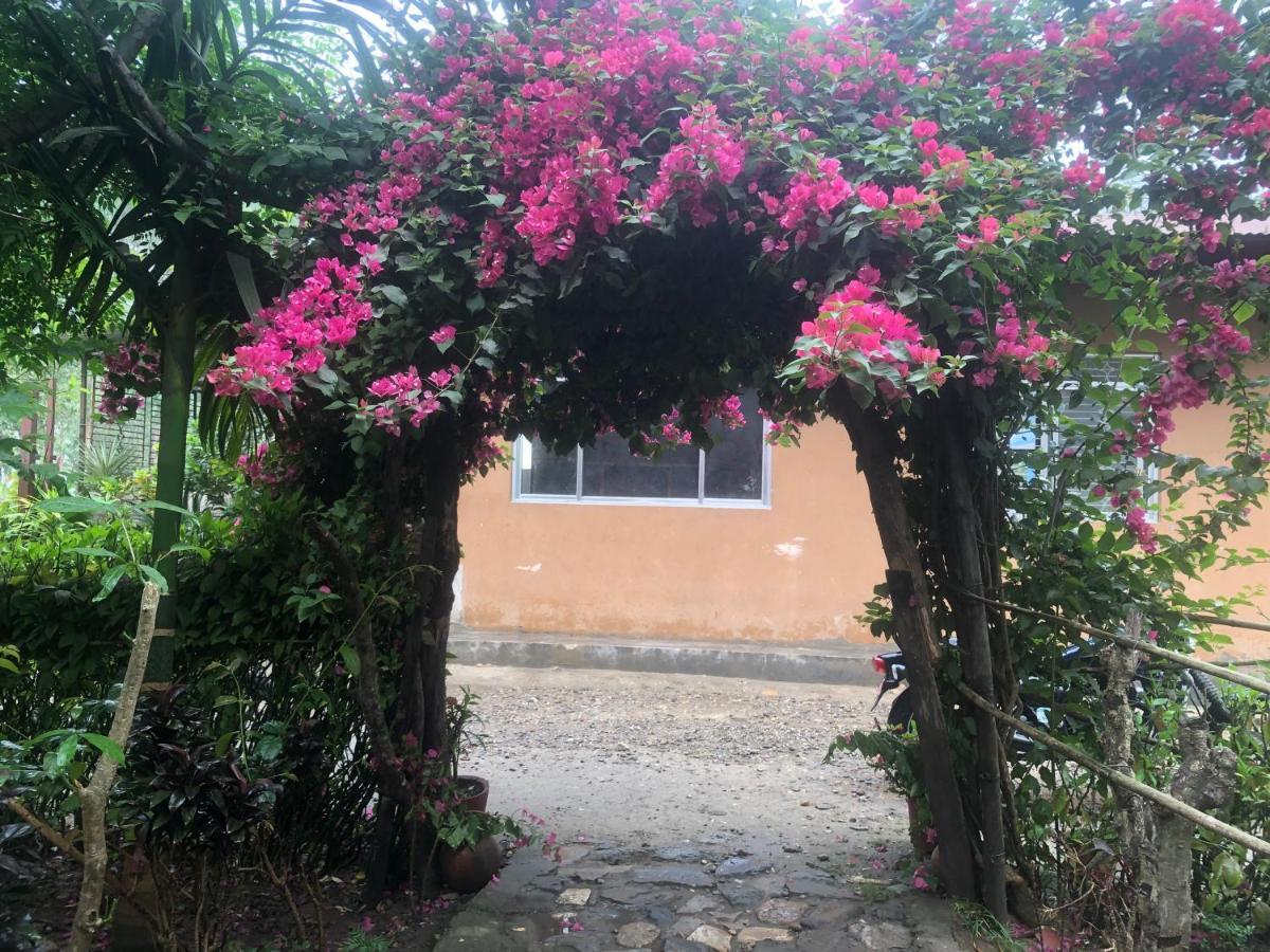 Tara Guesthouse - Sauraha,Chitwan Bagian luar foto