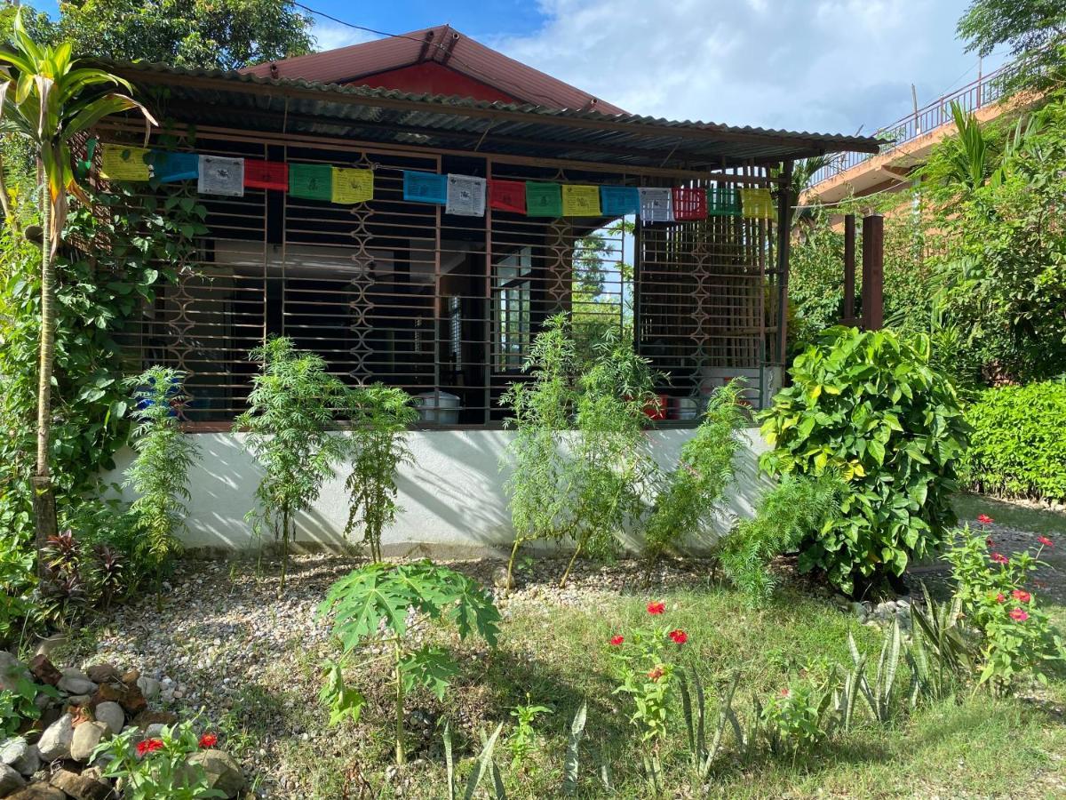 Tara Guesthouse - Sauraha,Chitwan Bagian luar foto