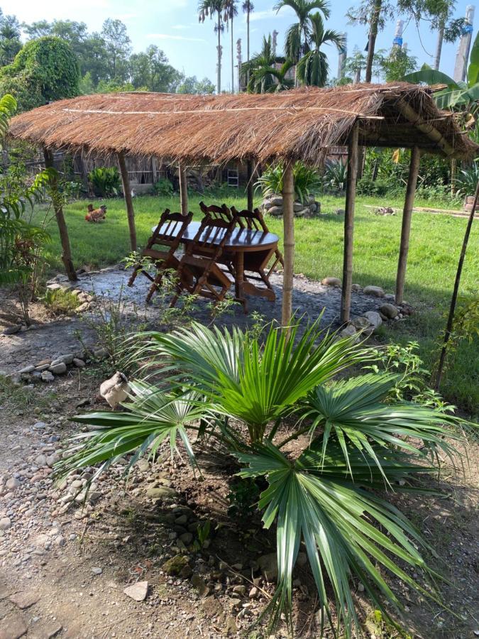 Tara Guesthouse - Sauraha,Chitwan Bagian luar foto