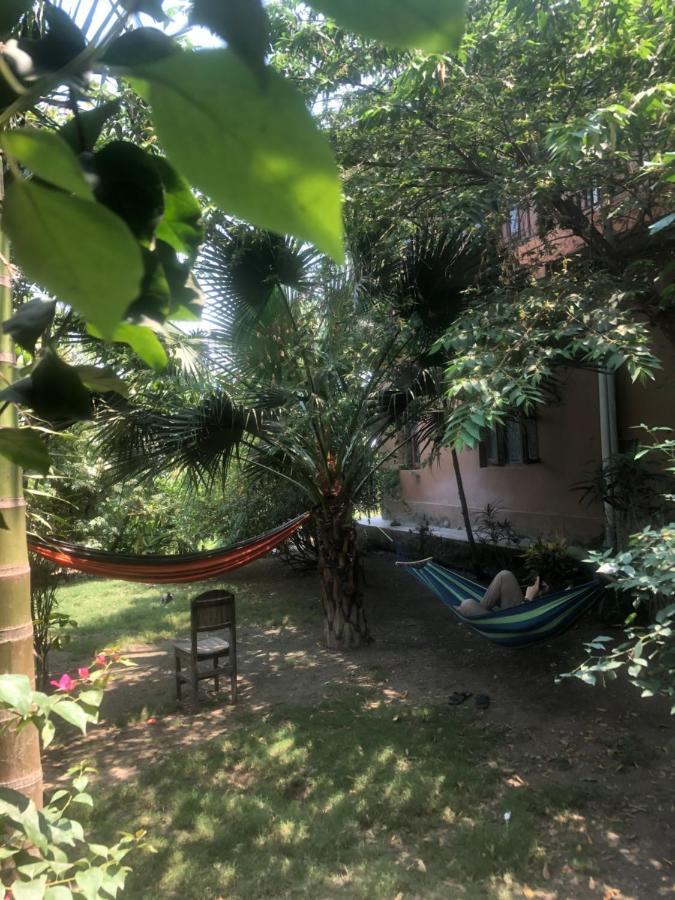 Tara Guesthouse - Sauraha,Chitwan Bagian luar foto
