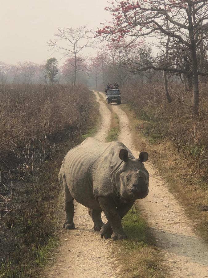 Tara Guesthouse - Sauraha,Chitwan Bagian luar foto