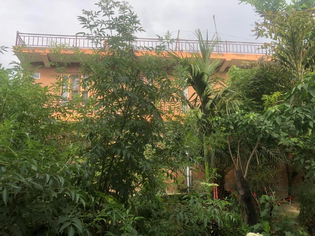 Tara Guesthouse - Sauraha,Chitwan Bagian luar foto