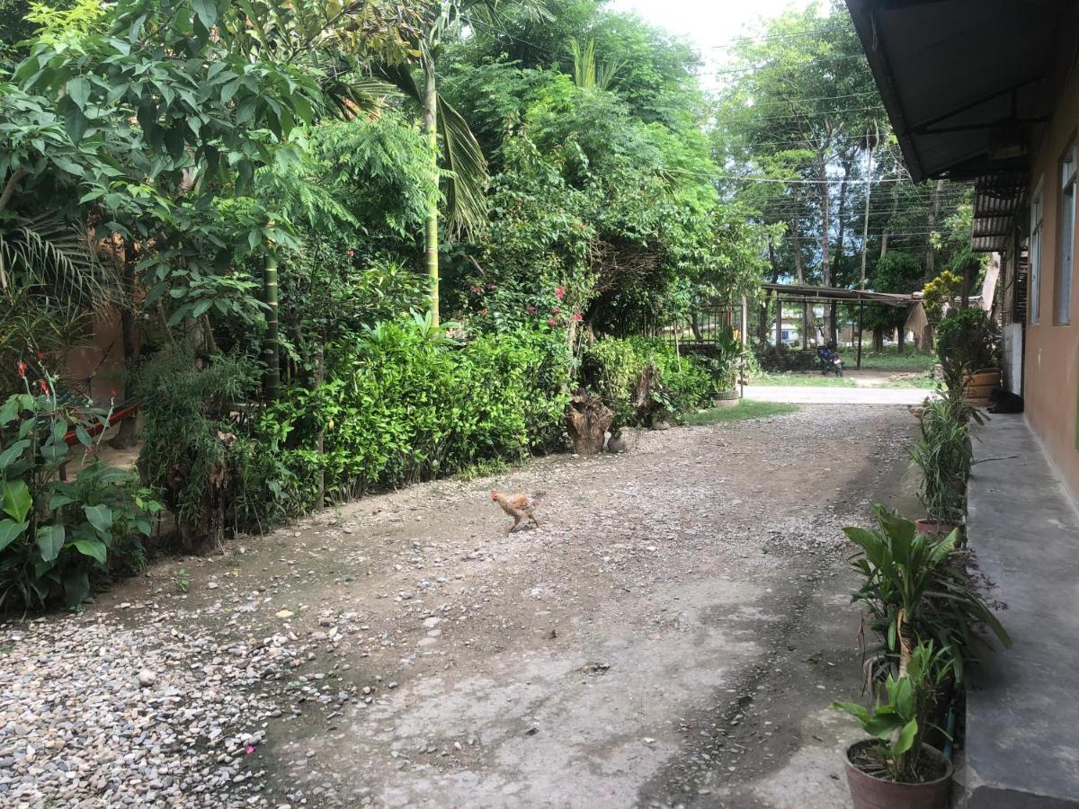 Tara Guesthouse - Sauraha,Chitwan Bagian luar foto