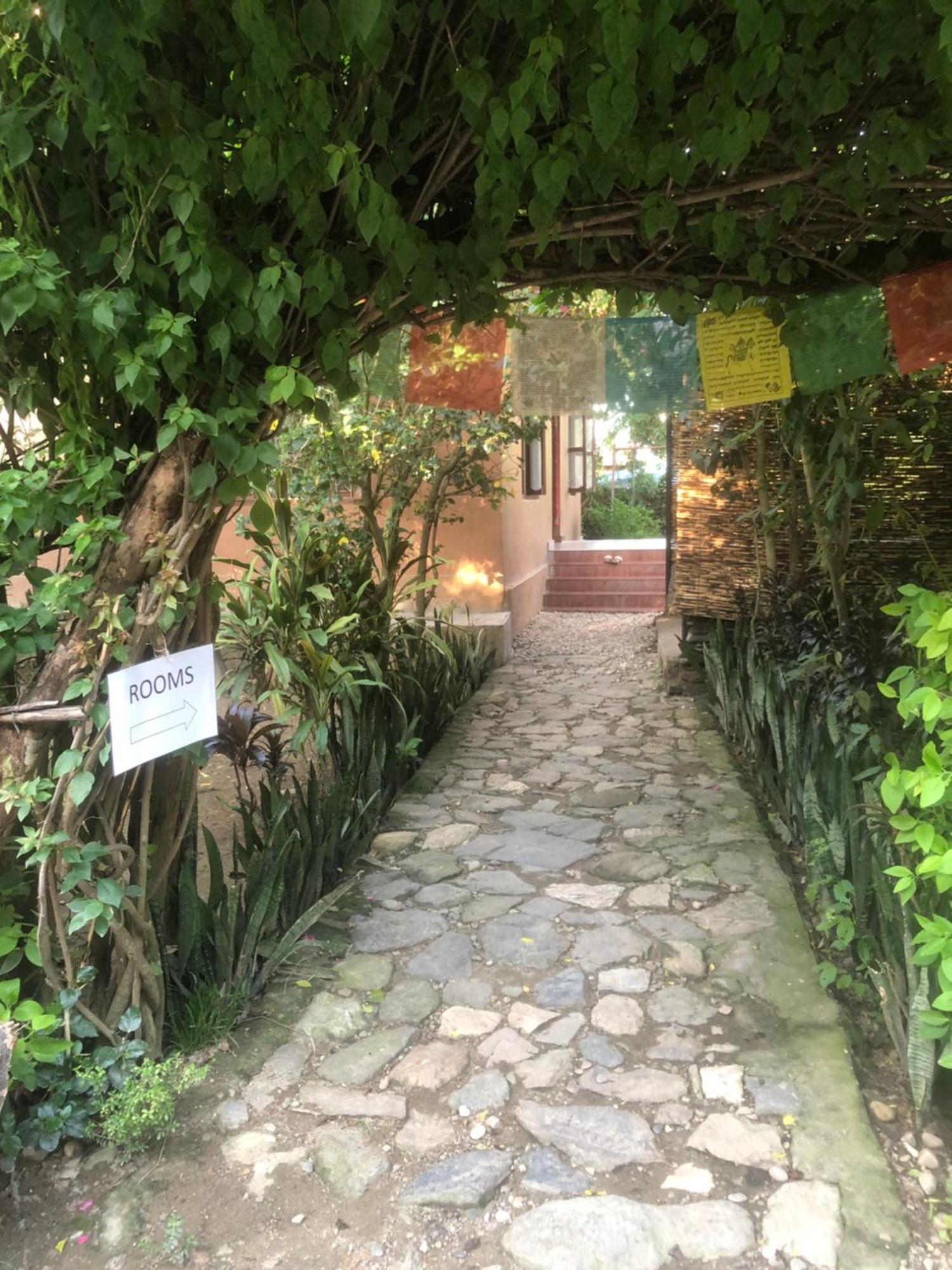 Tara Guesthouse - Sauraha,Chitwan Bagian luar foto